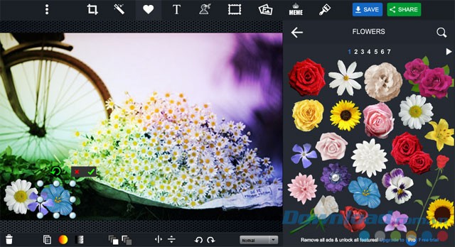 Trang trí ảnh bằng sticker