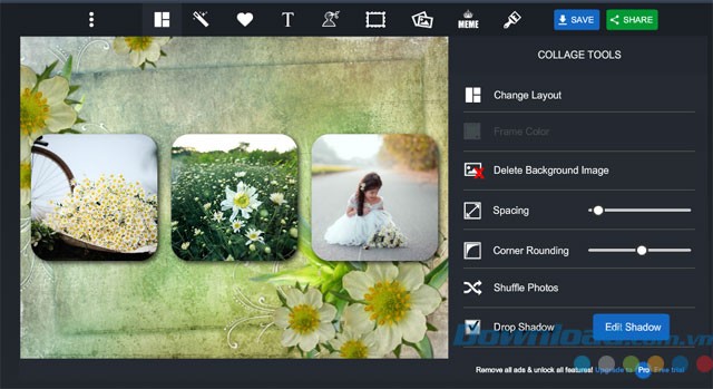 Công cụ ghép ảnh trên piZap