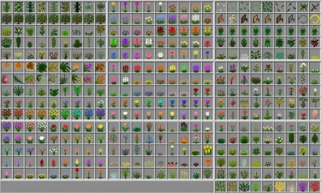 Hàng trăm loại cây, hoa mới