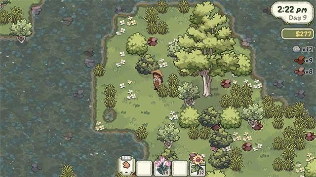 Tìm các loài cây mới và hiếm trong rừng