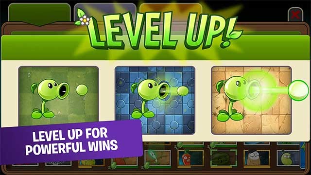 Nâng cấp cho cây của bạn