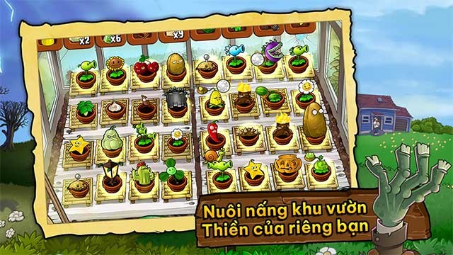 Trồng cây và chiến đấu với rất nhiều loại zombie trong game