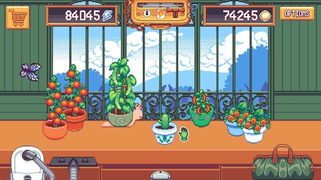 Chăm sóc cây trồng và trang trí không gian nhà kính