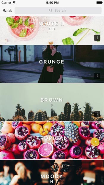 Nhiều chủ đề để lựa chọn