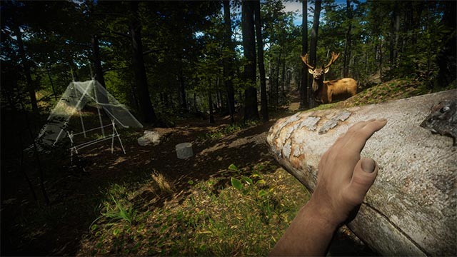 Săn bắn động vật hoang dã để lấy thức ăn và da