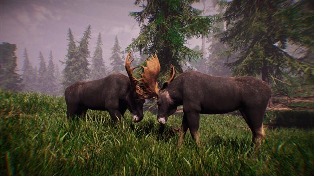 Lần theo dấu vết của từng con thú trong rừng rậm