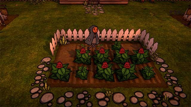 Trồng, chăm sóc cây, đi câu cá vào ban ngày