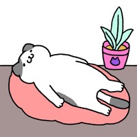 Purrfect Cats - Game Nuôi Mèo Dễ Thương trên iOS