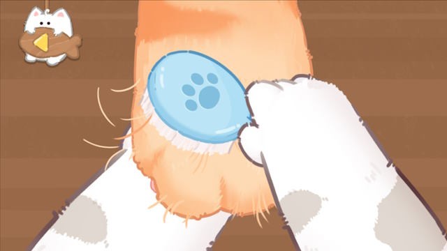 Chăm sóc những chú mèo thông qua các liệu trình spa nhẹ nhàng