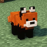 Raccoon's Mod Minecraft: Thêm Gấu Mèo Đáng Yêu