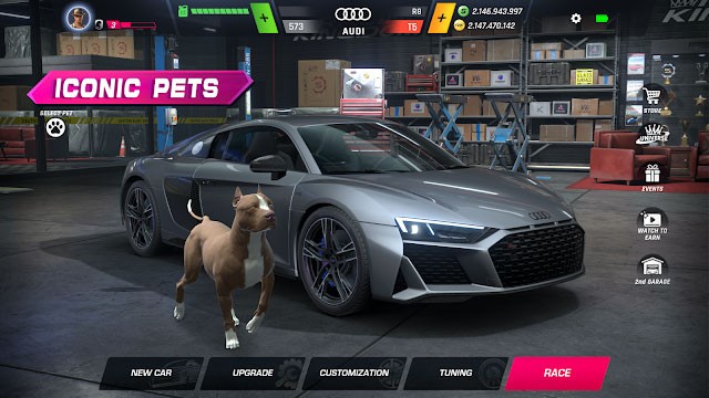 Mang theo thú cưng đồng hành cùng bạn trong cuộc đua trong game Racing Kingdom