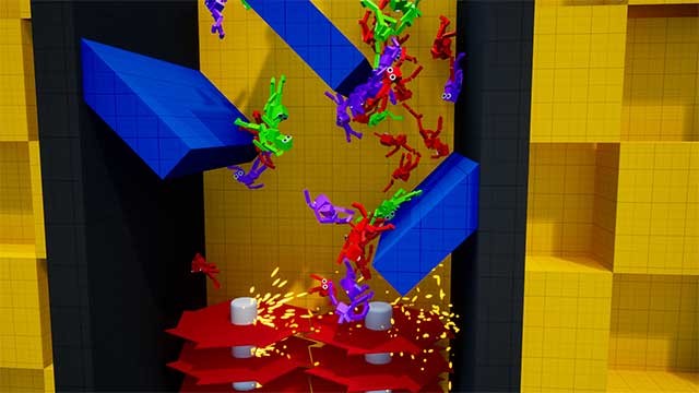 Chọn Ragdoll theo ý bạn và thực hiện các hoạt động mình muốn