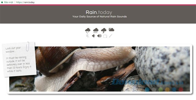 Giao diện Rain.Today