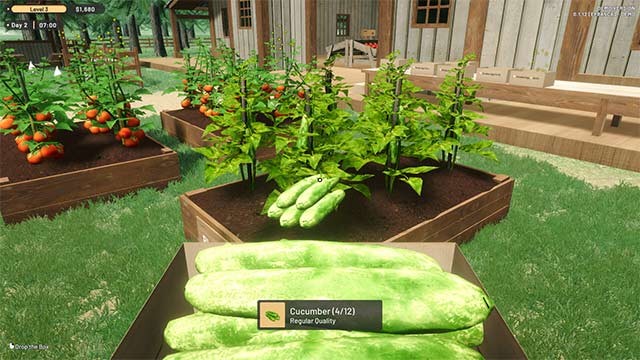 Thu hoạch hoa màu, trứng, sữa... để bán tại cửa hàng nông sản