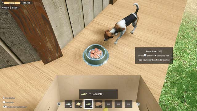 Chăm sóc động vật bảo vệ để chúng kiểm soát nông trại giúp bạn