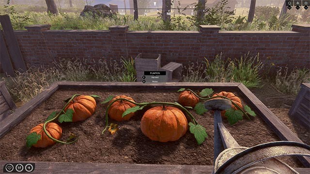 Dành phần lớn thời gian để trồng trọt, chăn nuôi, nấu ăn, câu cá... và nhiều hoạt động thú vị khác