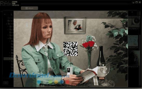 Có thể sử dụng Raw Importer để xem ảnh thô