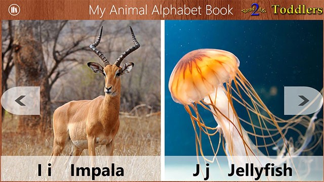 Các câu chuyện được minh họa bằng hình ảnh trực quan, bắt mắt