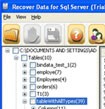 Recover Data for SQL Server | Khôi phục Database SQL Server