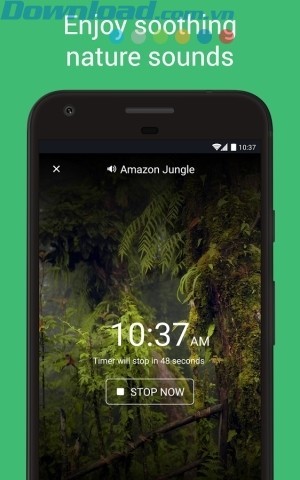 thưởng thức âm thanh tự nhiên nhẹ nhàng