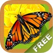Relaxing Sounds Of Nature Lite for iOS - Nhạc thư giãn iPhone/iPad