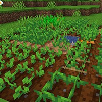Replanting Crops Mod Minecraft: Tự động thu hoạch, gieo hạt, trồng cây