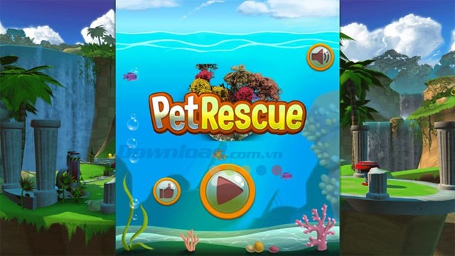 Rescue The Pet