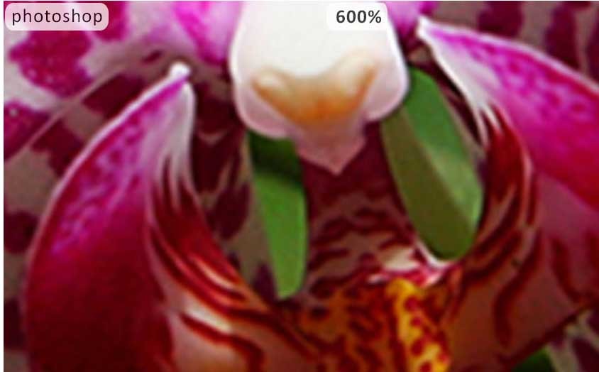 Dùng Photoshop phóng to ảnh