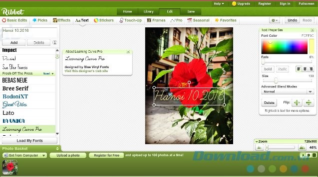 Chú thích ảnh nghệ thuật