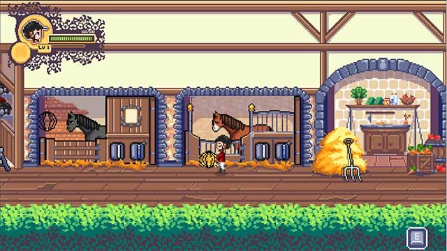 Thực hiện các hoạt động chăm sóc cho chú ngựa của mình