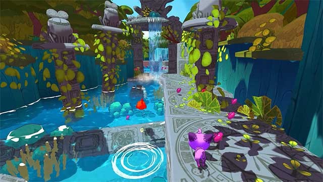 Trên đường đi, bạn sẽ bắt gặp rất nhiều loài động vật hoang dã địa phương