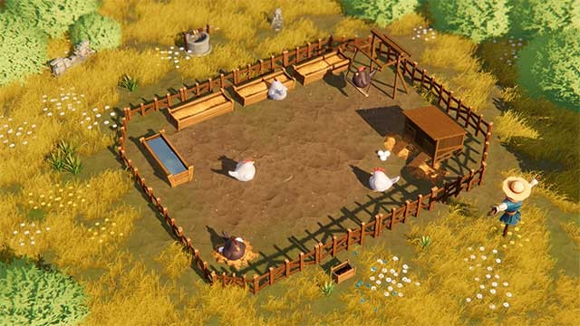 Khám phá các giống gà quý hiếm và thu thập nhiều loại trứng