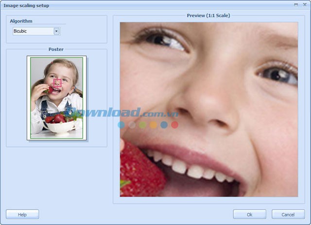 RonyaSoft Poster Printer