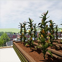 Rooftop Garden Simulator - Trải nghiệm làm vườn trên sân thượng