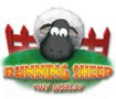 Running Sheep: Tiny Worlds - Giải cứu đàn cừu khỏi mê cung