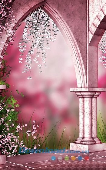 Sakura Live Wallpaper - hình nền hoa anh đào bắt mắt