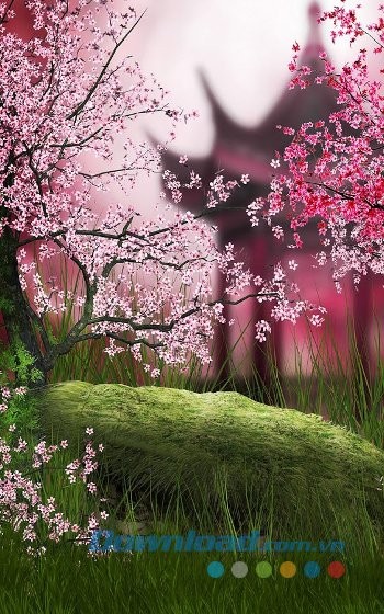 Sakura Live Wallpaper sở hữu các hình nền chất lượng cao
