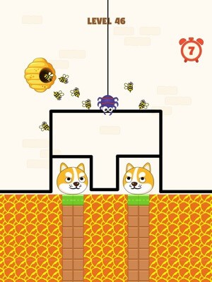 Thể hiện trí thông minh của bạn