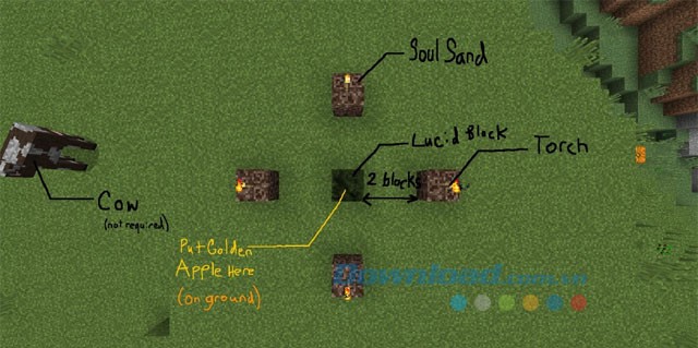 Hướng dẫn sinh tồn trong điều kiện mới