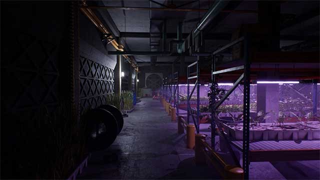 Lập nhóm với bạn bè hoặc đồng minh trực tuyến để khám phá thế giới SCP