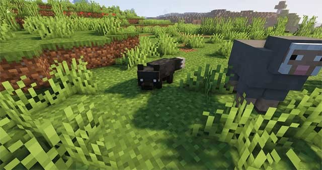 Sau khi cài đặt Shadew’s Foxes Mod, người chơi có thể thuần hóa cáo làm vật nuôi