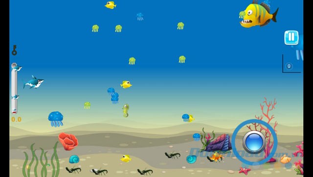 Giao diện chơi game Shark Journey