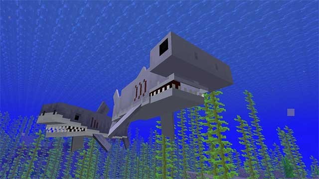 Để chiến đấu lại 3 loài cá mập nguy hiểm này, việc trang bị vũ khí là điều kiện bắt buộc