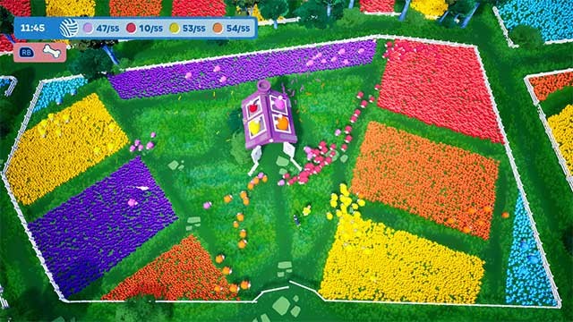 Dẫn dắt đàn cừu đầy màu sắc qua những cảnh quan tuyệt đẹp