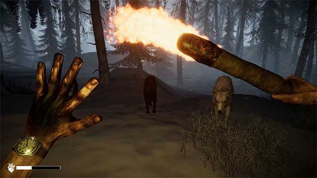 Học cách đối đầu với những kẻ săn mồi nguy hiểm