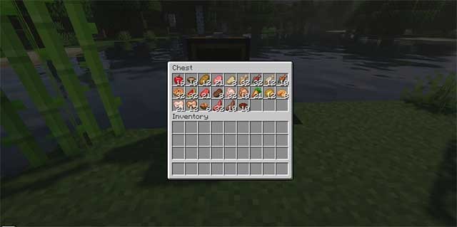 Bản Mod này sẽ điều chỉnh số lượng thực phẩm mà bạn có thể chứa trong 1 slot