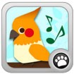 Shush! The Birds for Android - Chuyển chế độ im lặng