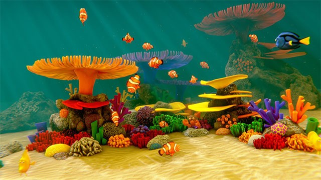 Ngắm nhìn những chú cá hề, cá đuôi gai xanh... đang tung tăng bơi lội trên màn hình