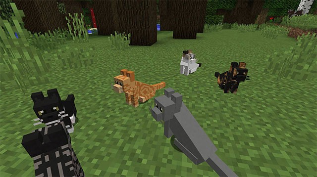 Những chú mèo màu sắc trong Simply Cats Mod sẽ tô điểm thế giới khối hộp của bạn