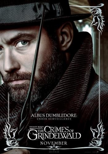 Fantastic Beasts 2 The Crimes of Grindelwald 5